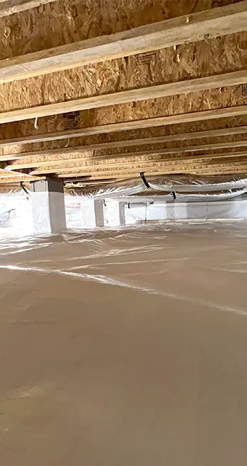 Crawl Space Mold Remediation