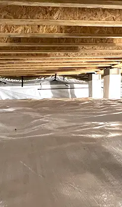 Crawl Space Mold Remediation
